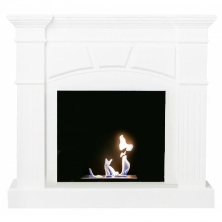 Биокамин классический ZeFire Monika Биокамин классический ZeFire Monika по цене 73 500 руб.